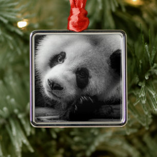 Cutest Baby Animals   Giant Panda Bear Cub Metal Ornament