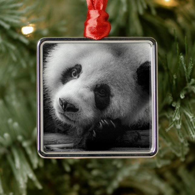 Cutest Baby Animals | Giant Panda Bear Cub Metal Ornament (Tree)