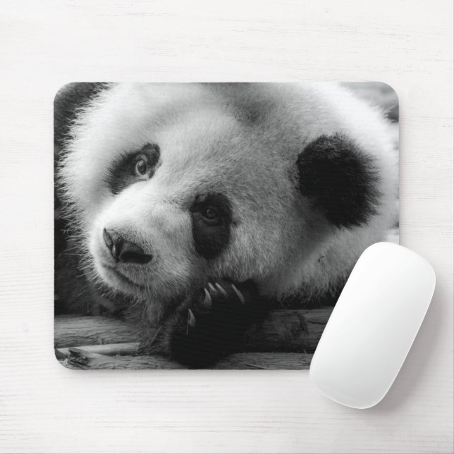 Cutest Baby Animals | Giant Panda Bear Cub Mouse Pad (With Mouse)