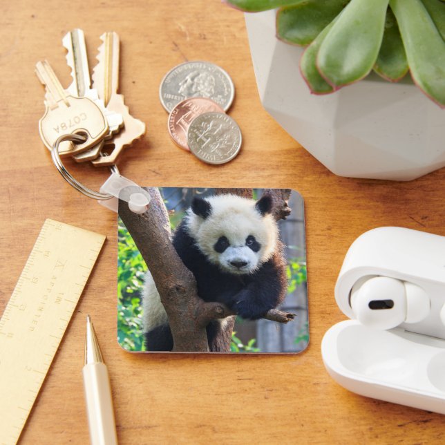 Cutest Baby Animals | Giant Panda Cub Key Ring (Desk)