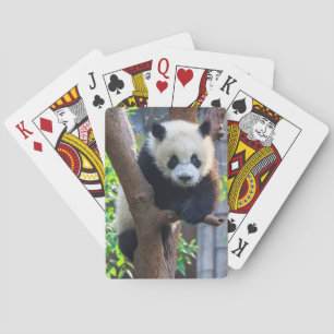 Cutest Baby Animals Giant Panda Cub Playing Cards