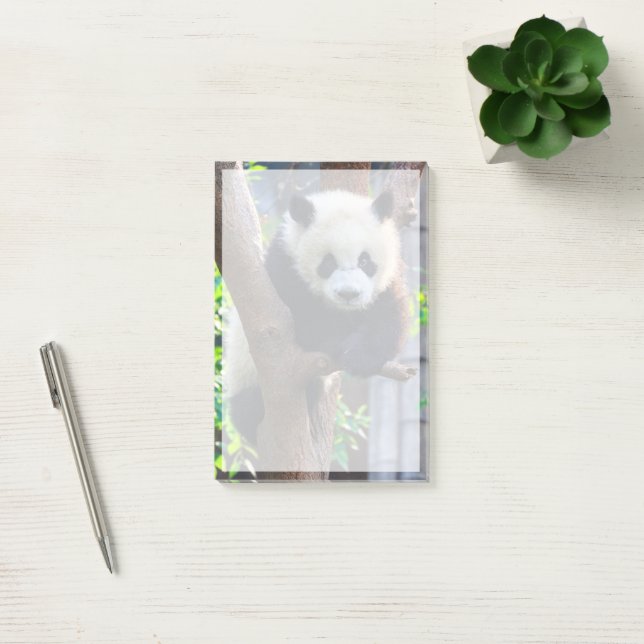 Cutest Baby Animals | Giant Panda Cub Post-it Notes (Office)