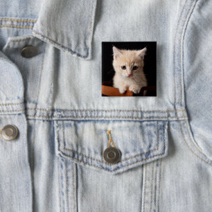 Cutest Baby Animals Ginger Kitten 15 Cm Square Badge