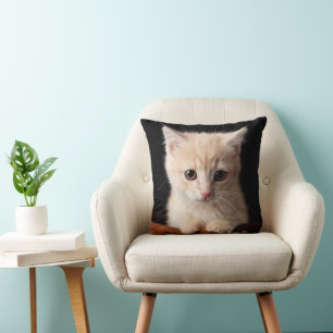 Cutest Baby Animals   Ginger Kitten Cushion