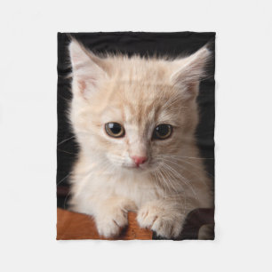 Cutest Baby Animals Ginger Kitten Fleece Blanket
