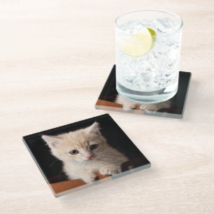 Cutest Baby Animals Ginger Kitten Glass Coaster