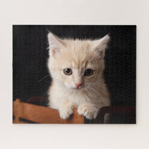 Cutest Baby Animals Ginger Kitten Jigsaw Puzzle