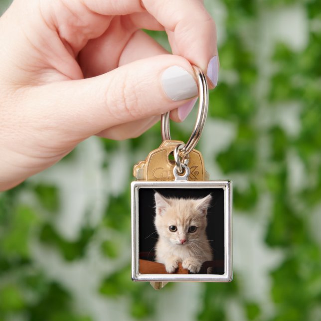 Cutest Baby Animals | Ginger Kitten Key Ring (Hand)