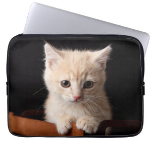 Cutest Baby Animals Ginger Kitten Laptop Sleeve