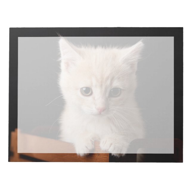 Cutest Baby Animals | Ginger Kitten Notepad (Front)