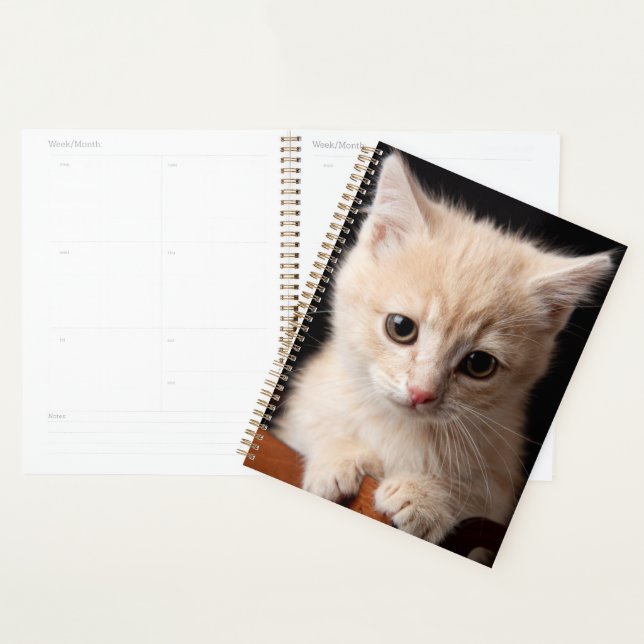 Cutest Baby Animals | Ginger Kitten Planner (Display)