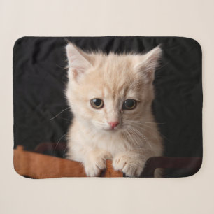 Cutest Baby Animals   Ginger Kitten Sherpa Blanket
