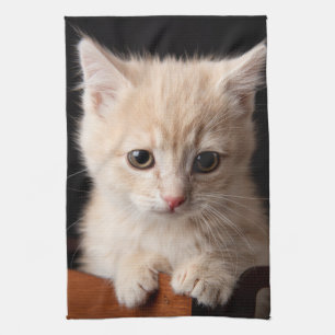 Cutest Baby Animals Ginger Kitten Tea Towel