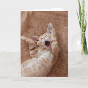 Cutest Baby Animals Ginger Kitten Yawning Card