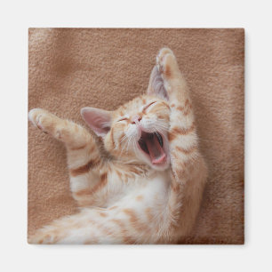 Cutest Baby Animals Ginger Kitten Yawning Magnet