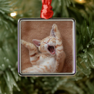 Cutest Baby Animals Ginger Kitten Yawning Metal Ornament