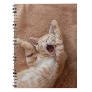 Cutest Baby Animals Ginger Kitten Yawning Notebook