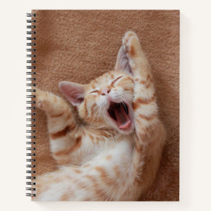 Cutest Baby Animals   Ginger Kitten Yawning Notebook