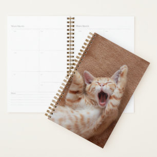 Cutest Baby Animals Ginger Kitten Yawning Planner