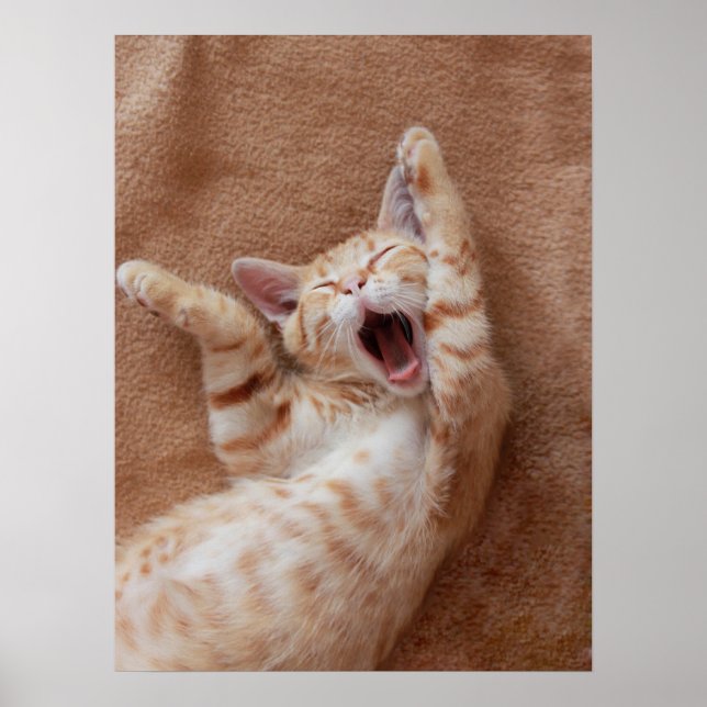 Cutest Baby Animals | Ginger Kitten Yawning Poster (Front)