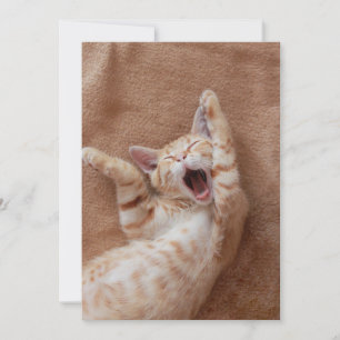 Cutest Baby Animals Ginger Kitten Yawning Thank You Card