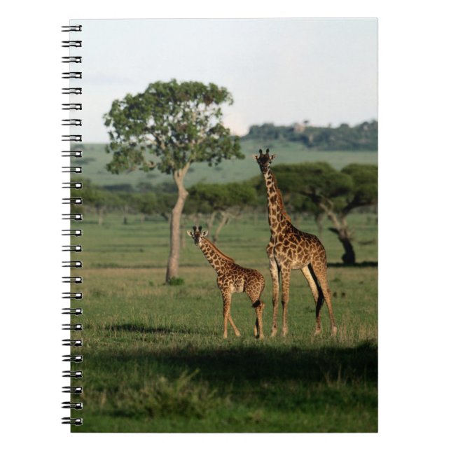 Cutest Baby Animals | Giraffe Calf & Mama Notebook (Front)