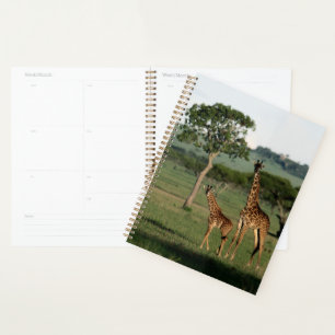 Cutest Baby Animals Giraffe Calf & Mama Planner