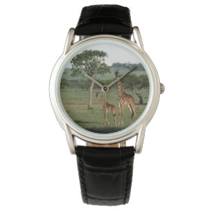 Cutest Baby Animals Giraffe Calf & Mama Watch