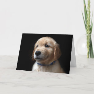 Cutest Baby Animals Golden Retriever Puppy Card