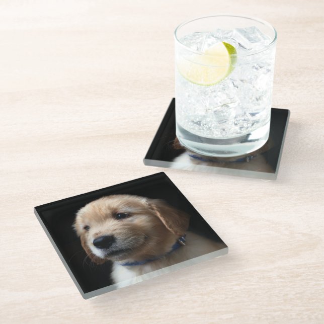 Cutest Baby Animals | Golden Retriever Puppy Glass Coaster (Angled)