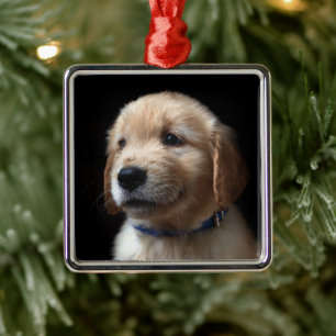 Cutest Baby Animals Golden Retriever Puppy Metal Ornament