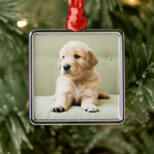 Cutest Baby Animals   Golden Retriever Puppy Metal Ornament