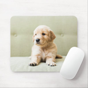 Cutest Baby Animals Golden Retriever Puppy Mouse Pad