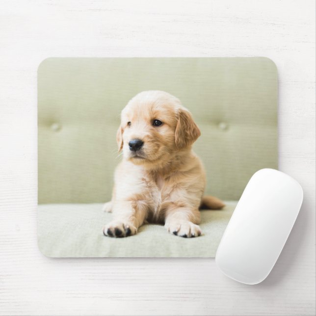 Cutest Baby Animals | Golden Retriever Puppy Mouse Pad (With Mouse)