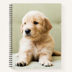 Cutest Baby Animals Golden Retriever Puppy Notebook
