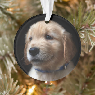 Cutest Baby Animals Golden Retriever Puppy Ornament