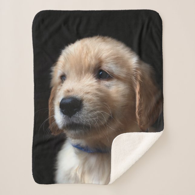 Cutest Baby Animals | Golden Retriever Puppy Sherpa Blanket (Front)