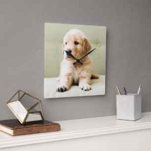 Cutest Baby Animals Golden Retriever Puppy Square Wall Clock
