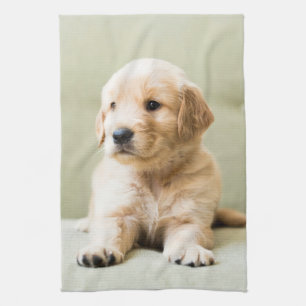 Cutest Baby Animals   Golden Retriever Puppy Tea Towel