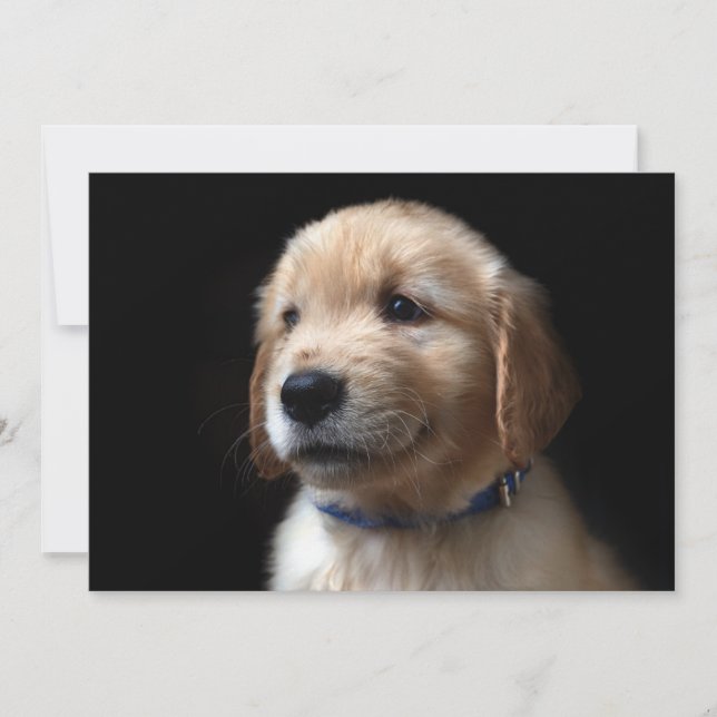 Cutest Baby Animals | Golden Retriever Puppy Thank You Card (Front)