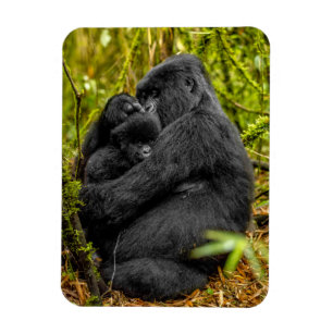 Cutest Baby Animals   Gorilla & Baby Magnet