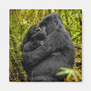 Cutest Baby Animals Gorilla & Baby Magnet