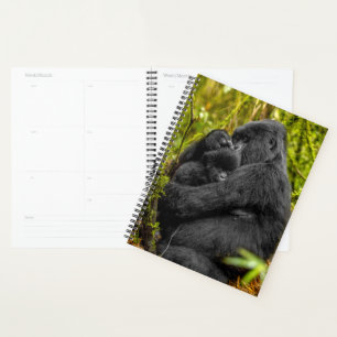 Cutest Baby Animals Gorilla & Baby Planner