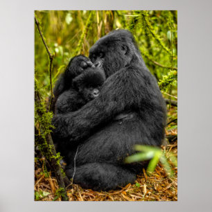 Cutest Baby Animals Gorilla & Baby Poster