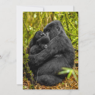 Cutest Baby Animals   Gorilla & Baby Thank You Card