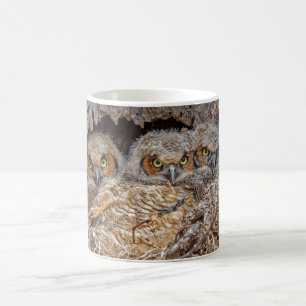 Cutest Baby Animals   Great Horned Chicks Coffee Mug