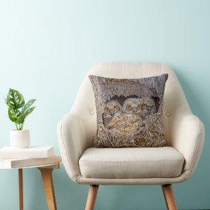 Cutest Baby Animals   Great Horned Chicks Cushion
