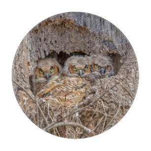 Cutest Baby Animals Great Horned Chicks Cutting Board