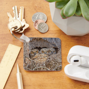 Cutest Baby Animals Great Horned Chicks Key Ring
