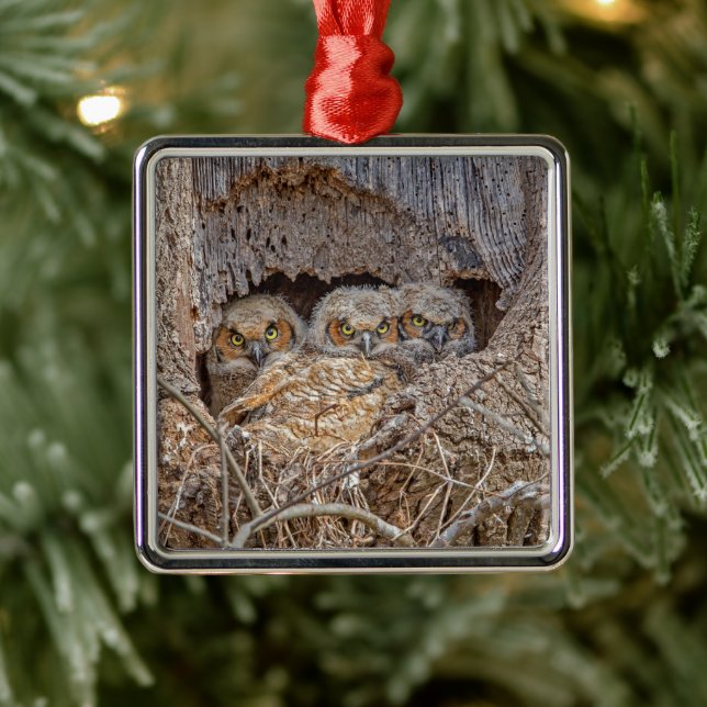 Cutest Baby Animals | Great Horned Chicks Metal Ornament (Tree)